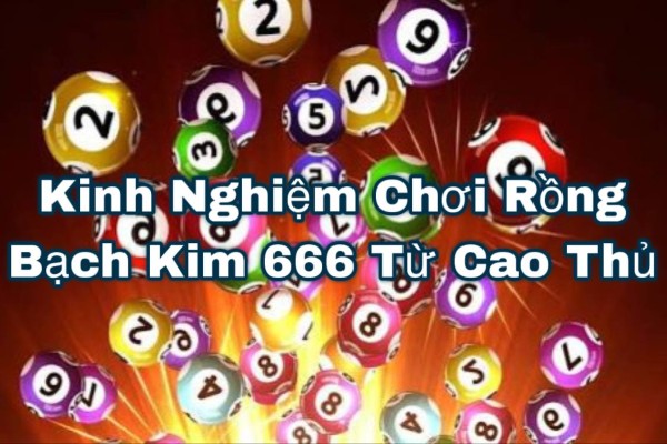 Kinh Nghiệm Chơi Rồng Bạch Kim 666 Từ Cao Thủ