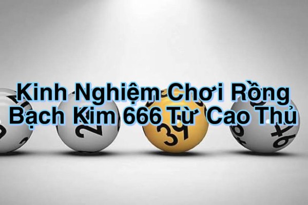 Phân tích dữ liệu và xu hướng số