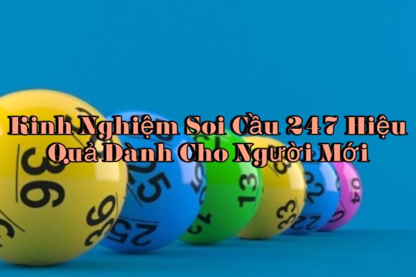 Luôn cập nhật kết quả xổ số mỗi ngày