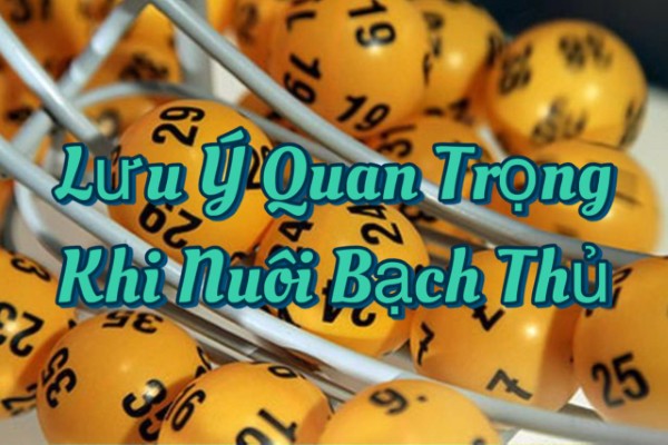 Không có cơ sở để nói “tăng tỷ lệ thắng” trong 3 ngày