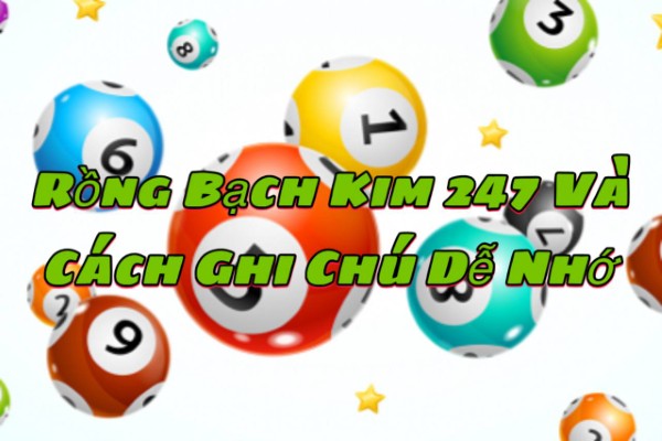 Rồng Bạch Kim 247 Cách Ghi Chú Dữ Liệu Dễ Nhớ Cho Người Mới