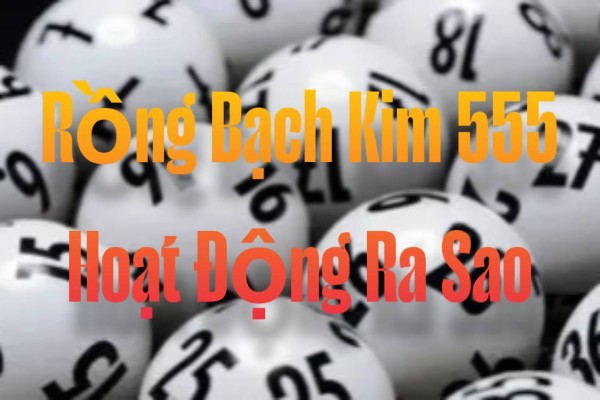 Rồng Bạch Kim 555 Hoạt Động Ra Sao