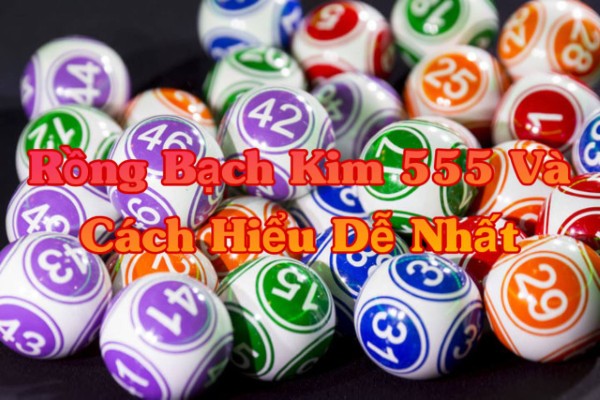 Rồng Bạch Kim 555 Và Cách Hiểu Dễ Nhất Cho Người Mới Bắt Đầu