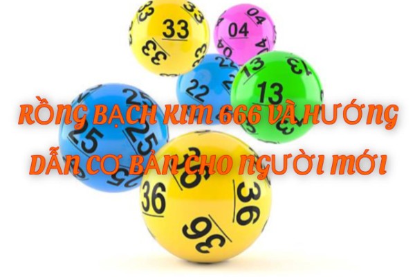 Rồng Bạch Kim 666 Hướng Dẫn Cơ Bản Cho Người Mới