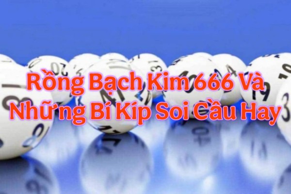 Rồng Bạch Kim 666 Và Những Bí Kíp Soi Cầu Hay