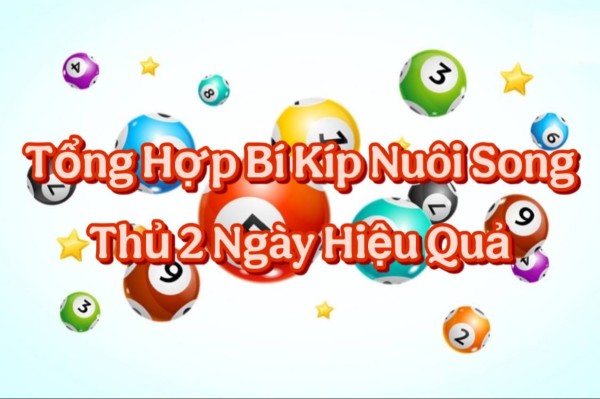 Tổng Hợp Bí Kíp Nuôi Song Thủ 2 Ngày Hiệu Quả