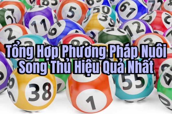 Nuôi song thủ theo số nóng (tần suất xuất hiện cao)
