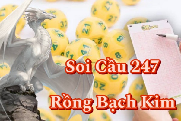 Soi Cầu 247 Rồng Bạch Kim ngày 26/08/2026 - Nhận Diện Cầu Lô Từ Dữ Liệu Hôm Nay