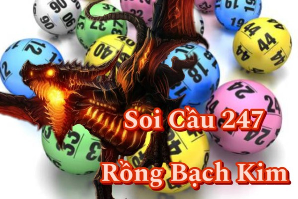 Soi Cầu 247 Rồng Bạch Kim ngày 29/08/2026 - Nhận Diện Cầu Lô Từ Dữ Liệu Hôm Nay